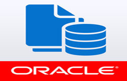Oracle数据库管理工具有哪些?-北京MILAN.COM公司