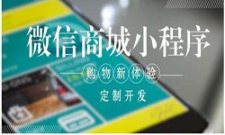 商城小程序开发、北京小程序开发哪家好？-北京MILAN.COM