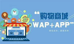 手机商城appMILAN.COM流程-北京MILAN.COM外包公司