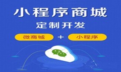微信小程序开发、商城小程序开发功能-MILAN.COMMILAN.COM